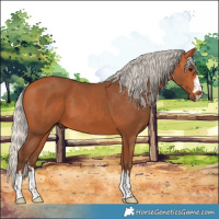 Horse Color:Silver Bay