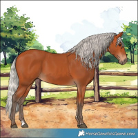 Horse Color:Silver Bay 