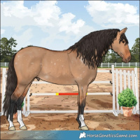 Horse Color:Bay Dun