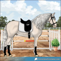 Horse Color:Cremello