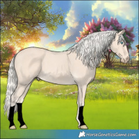Horse Color:Cremello 