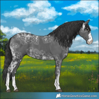Horse Color:Black Ice