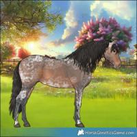 Horse Color:Bay Ice 
