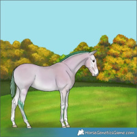 Horse Color:Watercolor Buckskin Onyx 