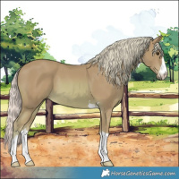 Horse Color:Watercolor Chestnut 