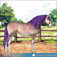 Horse Color:Watercolor Bay Onyx