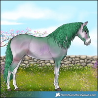 Horse Color:Watercolor Bay Onyx 