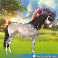 Horse Color:Brown Ice Roan Onyx