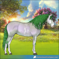 Horse Color:Watercolor Bay Onyx Sabino 