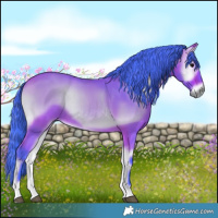 Horse Color:Watercolor Bay Onyx Rabicano
