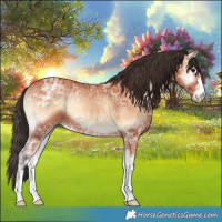 Horse Color:Bay Ice Onyx 