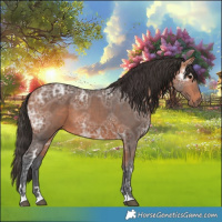 Horse Color:Bay Ice 