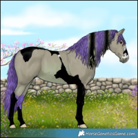 Horse Color:Watercolor Bay Tobiano 