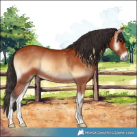Horse Color:Bay Onyx 
