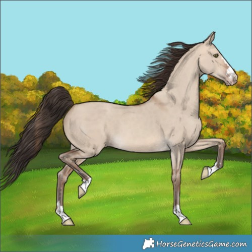 Horse Color:Sable Champagne Dun 