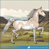 Horse Color:Silver Bay Dun Sabino Tobiano Frame Rabicano 