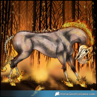 Horse Color:Bay Roan 