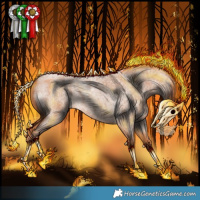 Horse Color:Red Roan 