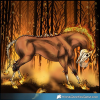Horse Color:Bay 
