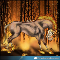 Horse Color:Red Roan 