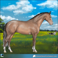 Horse Color:Sable Champagne Sabino 