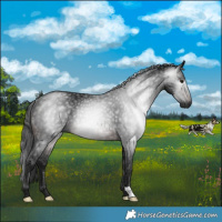 Horse Color:Gray Brown Rabicano 