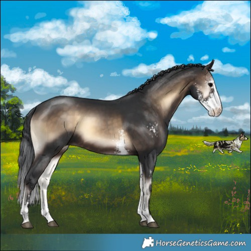 Horse Color:Brown Onyx Sabino
