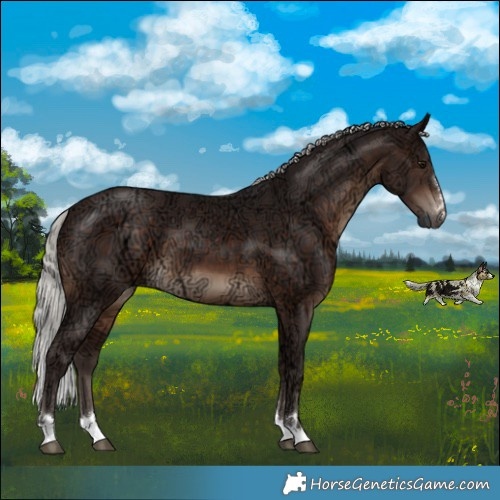 Horse Color:Silver Brown Ice