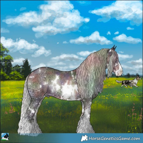 Horse Color:Nacre White Spotted Chocolate Silver Brown Ice Onyx Sabino Rabicano 