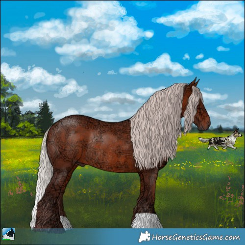 Horse Color:Chocolate Silver Bay Ice Rabicano 
