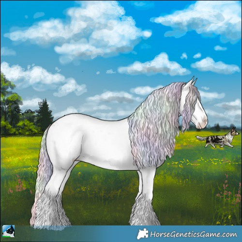 Horse Color:Nacre Chocolate Silver Black Chinchilla Sabino Rabicano