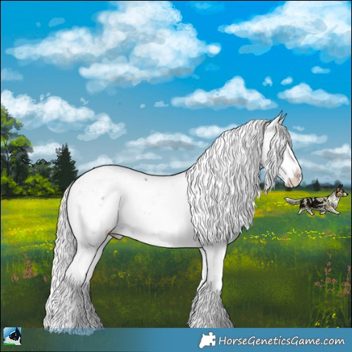 Horse Color:Chocolate Silver Black Chinchilla Ice Sabino Rabicano 