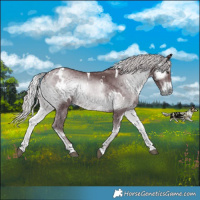 Horse Color:White Spotted Chocolate Silver Blue Onyx Chinchilla 