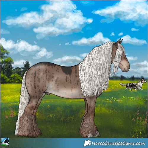 Horse Color:Liver Red Dun Mushroom Rabicano Brindle 