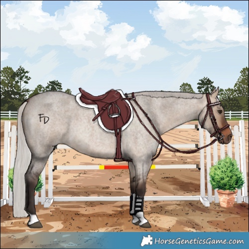 Horse Color:Silver Brown Roan Dun Tobiano 