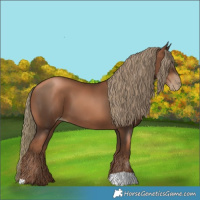 Horse Color:Gray Liver Chestnut Pearl Mushroom 