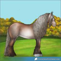 Horse Color:Gray Liver Chestnut Pearl Mushroom
