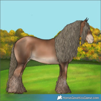 Horse Color:Gray Liver Chestnut Pearl Mushroom
