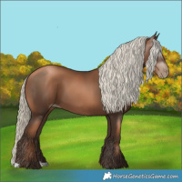 Horse Color:Gray Liver Chestnut Pearl Mushroom 