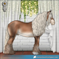 Horse Color:Gray Liver Chestnut Pearl Mushroom