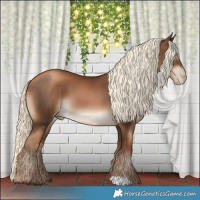 Horse Color:Gray Liver Chestnut Pearl Mushroom
