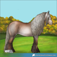 Horse Color:Gray Liver Chestnut Pearl Mushroom