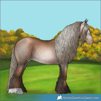 Horse Color:Gray Liver Chestnut Pearl Mushroom