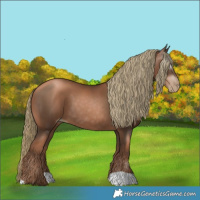 Horse Color:Gray Liver Chestnut Pearl Mushroom