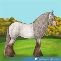 Horse Color:Gray Liver Red Roan Pearl Mushroom