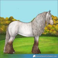 Horse Color:Gray Liver Red Roan Pearl Mushroom 
