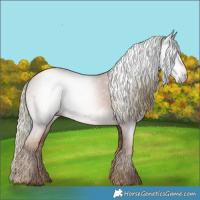 Horse Color:Gray Liver Chestnut Pearl Mushroom 