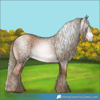 Horse Color:Gray Liver Chestnut Pearl Mushroom
