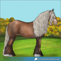 Horse Color:Gray Liver Chestnut Pearl Mushroom Rabicano