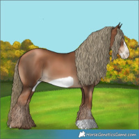 Horse Color:Gray Liver Chestnut Pearl Mushroom Frame 